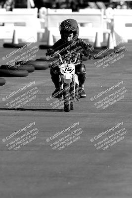 media/Nov-06-2022-SoCal Trackdays (Sun) [[208d2ccc26]]/Around the Pits/